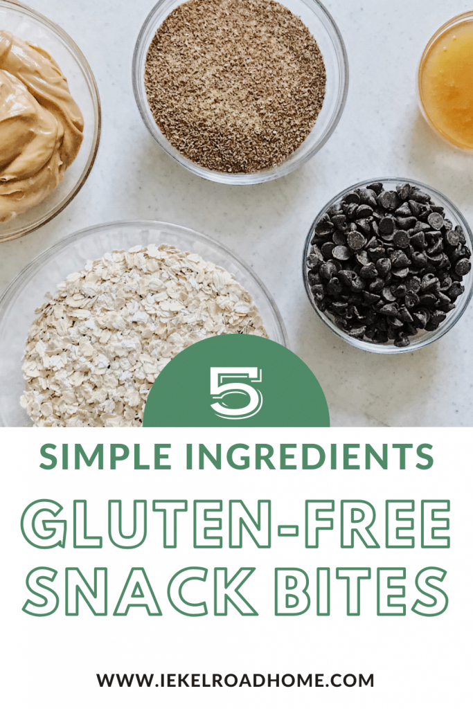 5 Simple Ingredient Gluten-Free Snack Bites